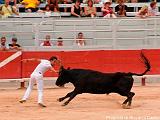 COURSE CAMARGUAISE